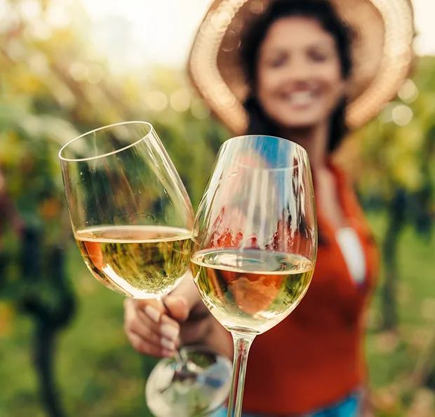 Vincs blancs à Seysses près de Muret - 31