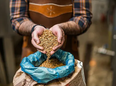 Bières artisanales au houblon en vente àe Seysses près de Muret (-31)